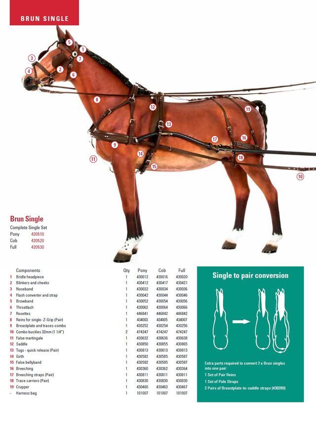 HORSE CARE MANUAL 改訂版 HORSE CARE MANUAL 改訂版